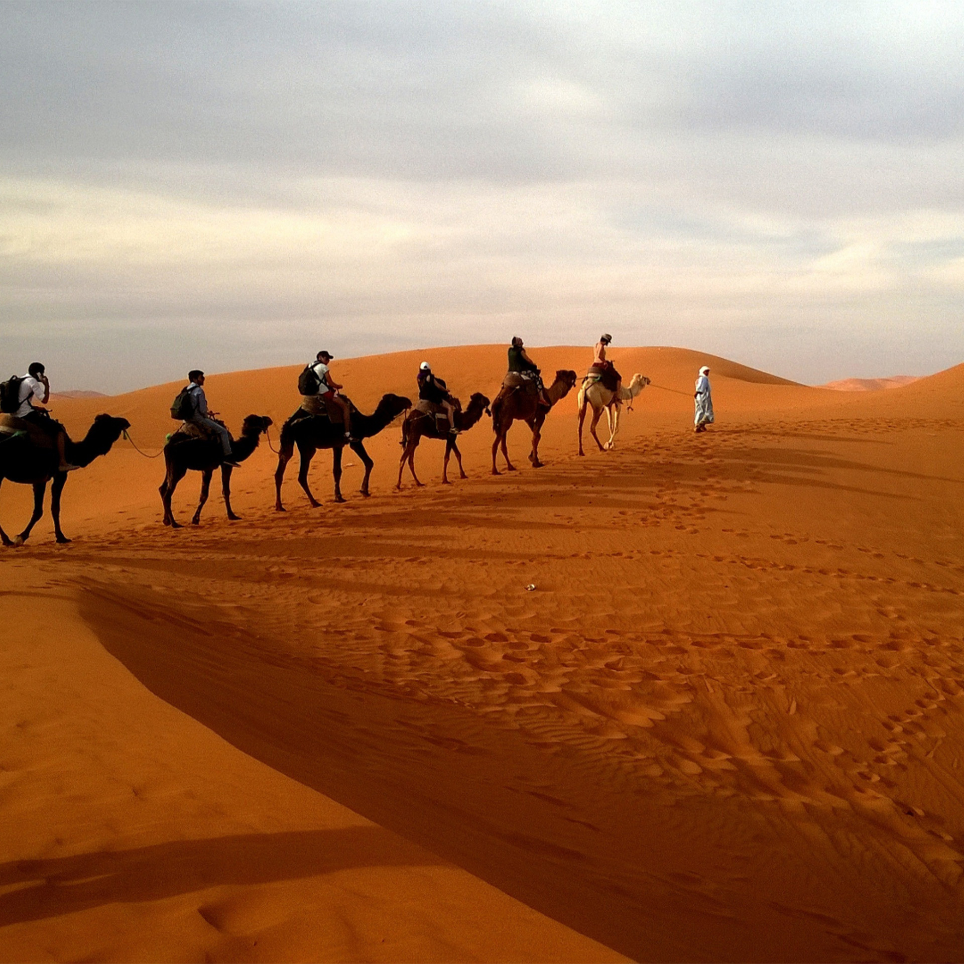 camel riding