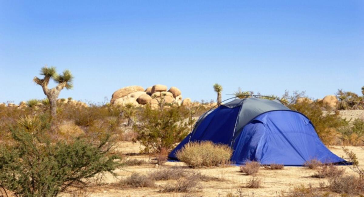 DESERT POINT GOLD CAMP 4*